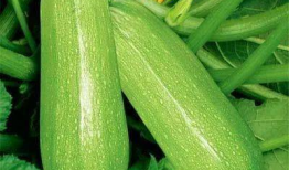 碗盆吃瓜爆料图片大全,揭秘娱乐圈幕后风云